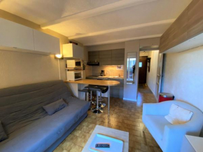 Studio confortable proche remontées mécaniques, parking privatif - Multi Pass inclus - FR-1-693-88